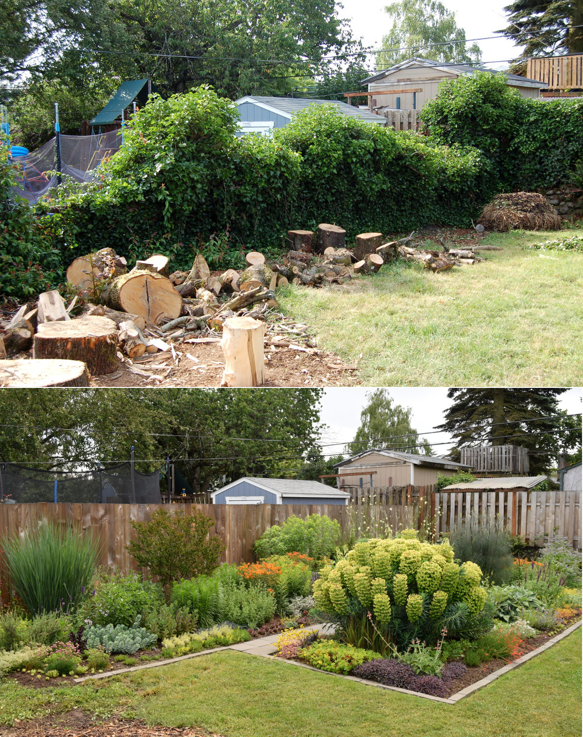 Landscaping before and after